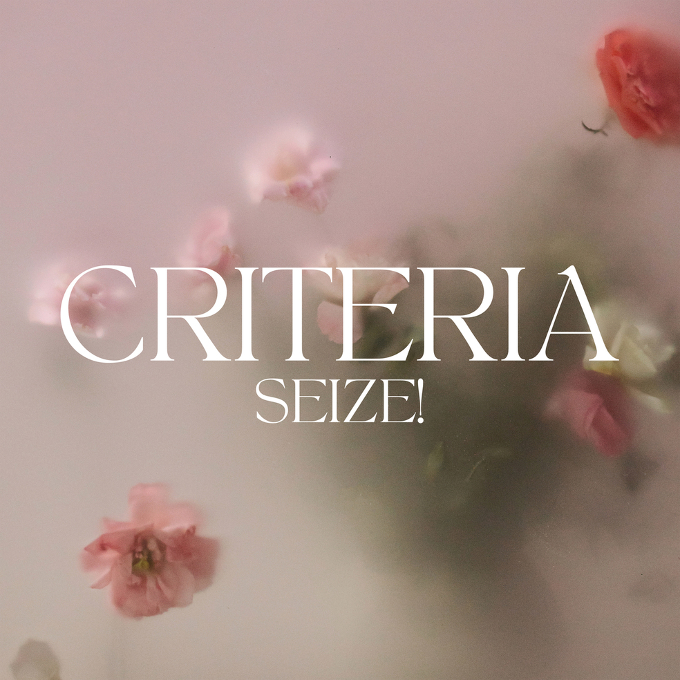 Criteria — Seize!