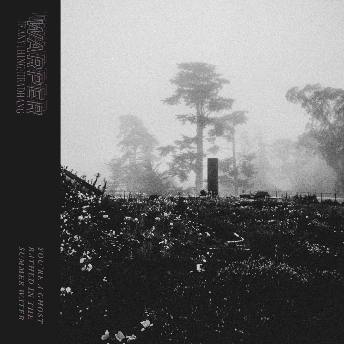 Warper — If Anything/Headhang