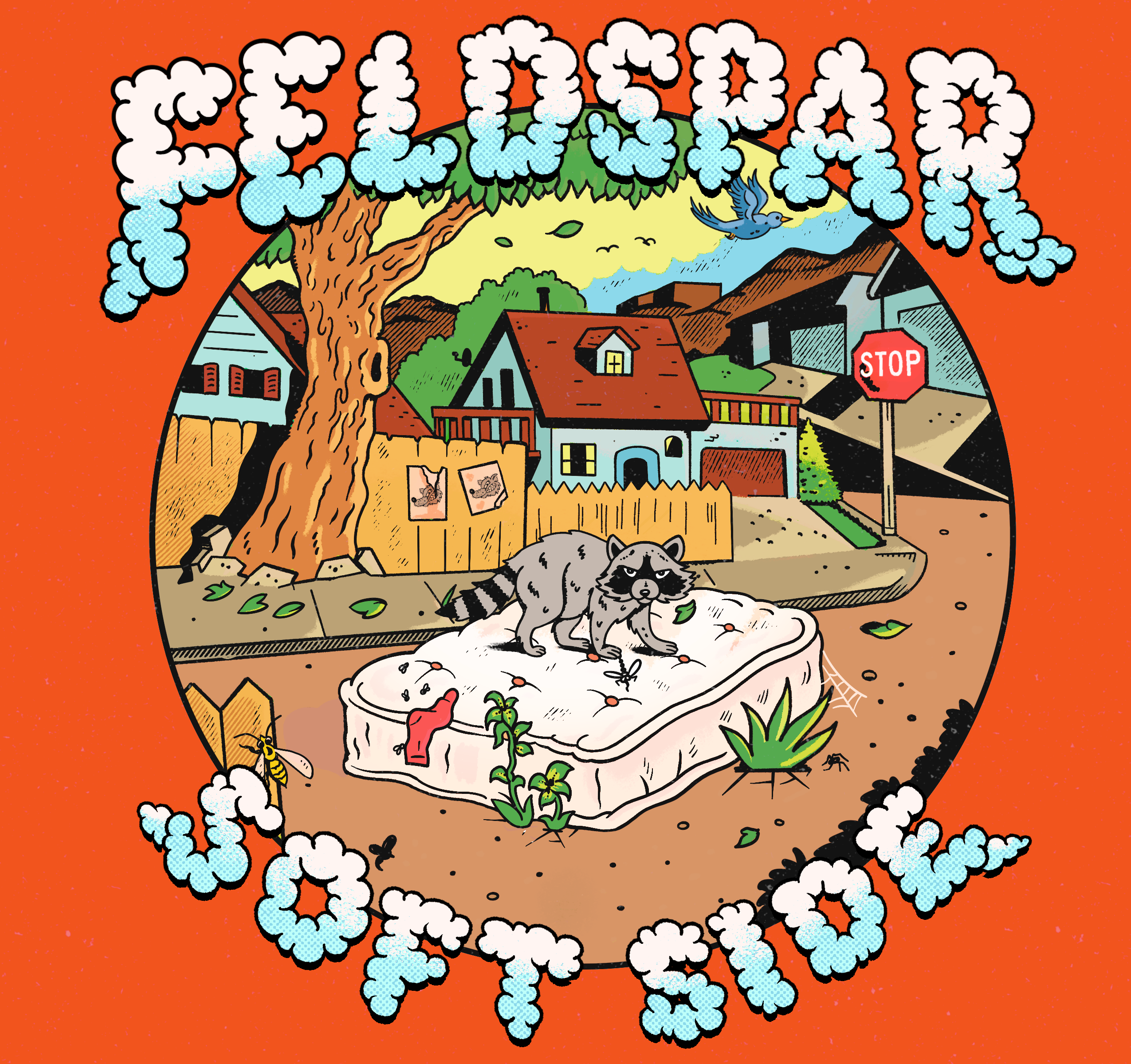 Soft Side by Feldspar album cover art - Hardcore, Power Pop, Post Hardcore