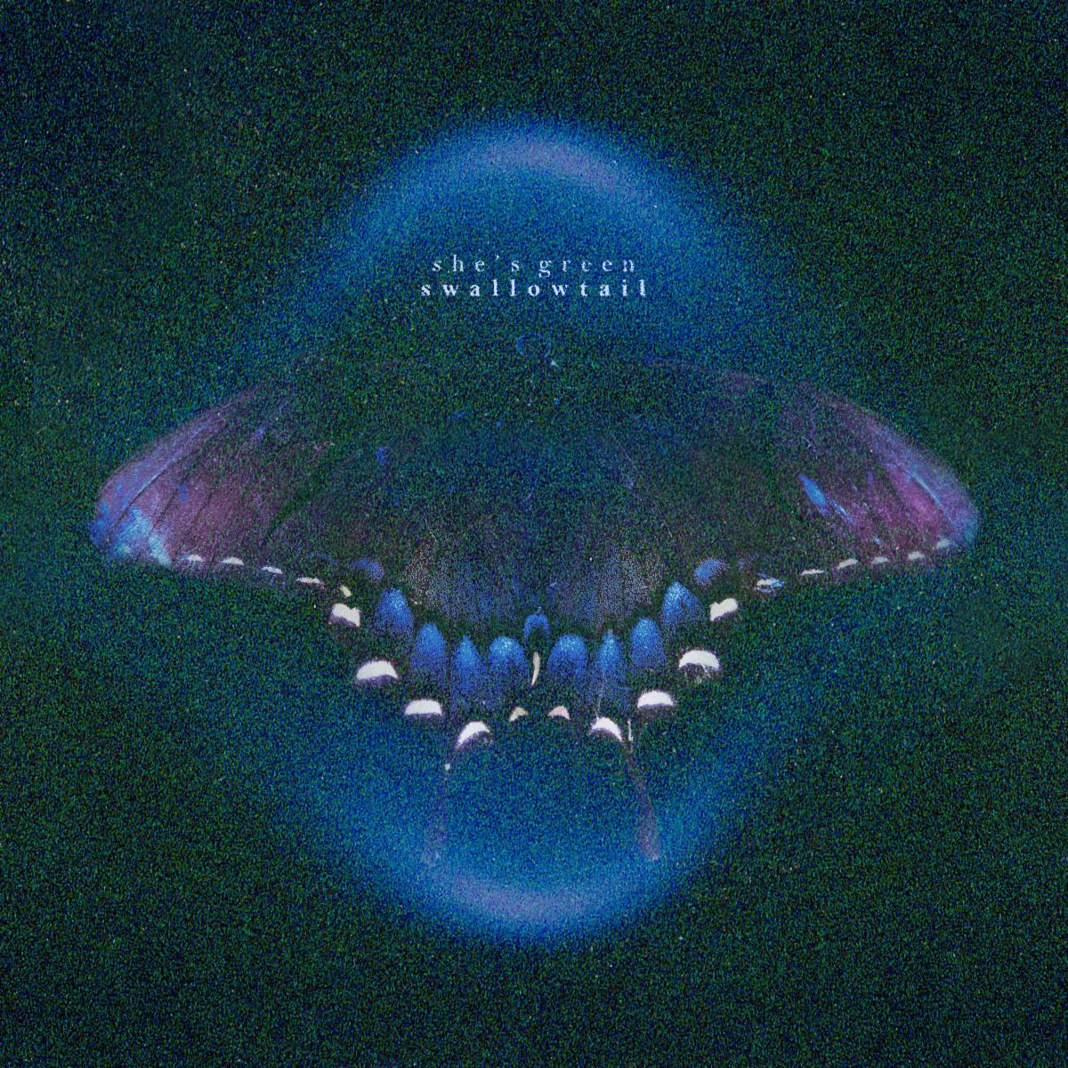 swallowtail by she's green album cover art - Dream Pop, Indie Rock, Shoegaze